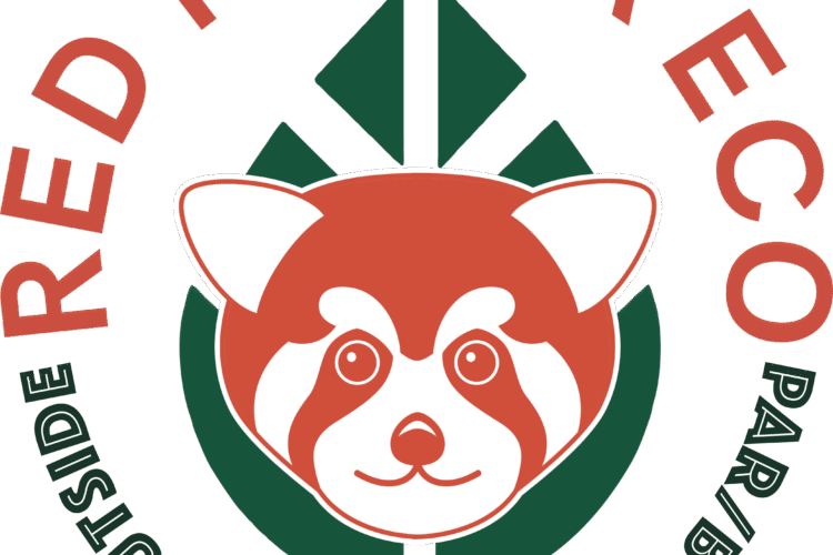 Red panda Eco